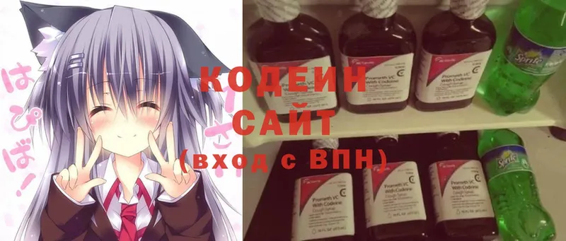 где купить наркотик  Отрадная  Кодеиновый сироп Lean Purple Drank 