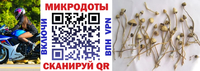 kraken ТОР  Отрадная  Галлюциногенные грибы мицелий 